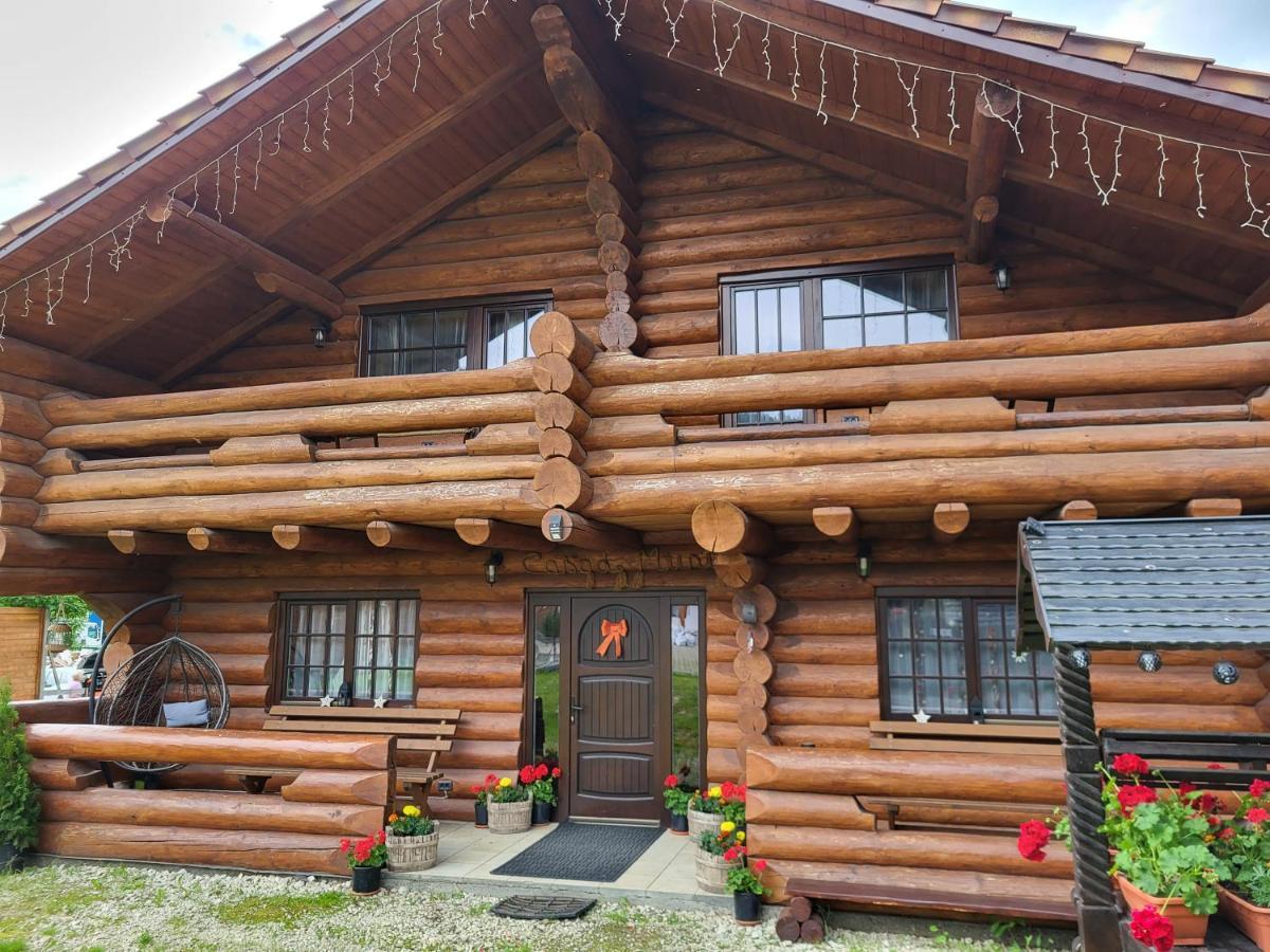 Вилла Casa De Munte Ватра-Дорней Экстерьер фото